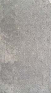 12011389_1081566858521891_3657192106017440989_n[1]