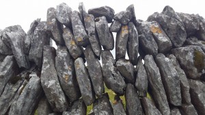 12033140_1081500225195221_515625322583067990_n[1]